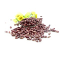 Best quality purple speckled kidney bean long shape cooking red kidney beans